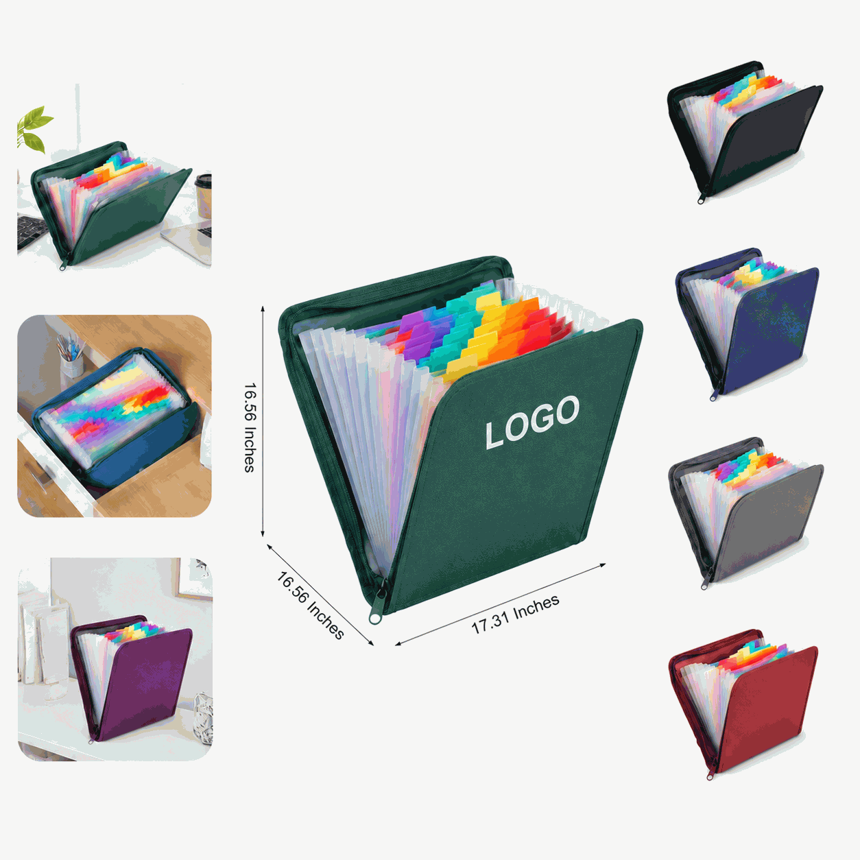 Multi-Compartment Zipper Organizer Bag with Rainbow Index Tabs
