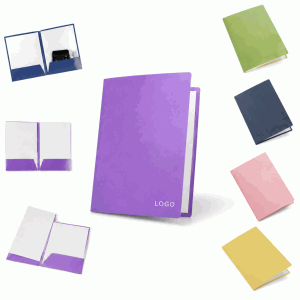 Multicolor A4 Two-Pocket File Folder